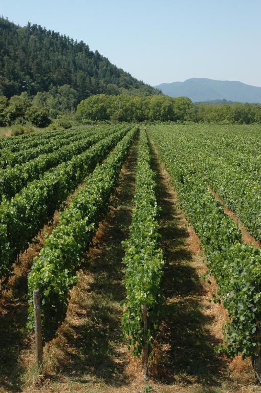 Licciana Nardi Agriturismo Casteldelpiano المظهر الخارجي الصورة
