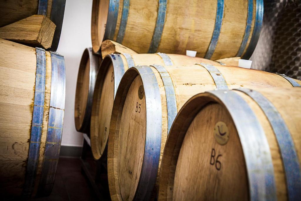Licciana Nardi Agriturismo Casteldelpiano المظهر الخارجي الصورة