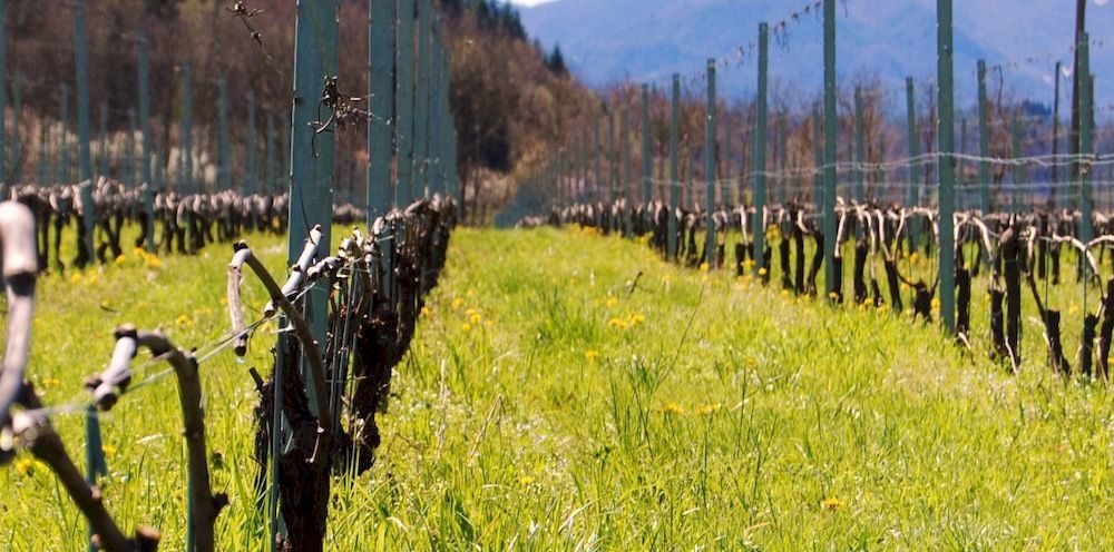 Licciana Nardi Agriturismo Casteldelpiano المظهر الخارجي الصورة